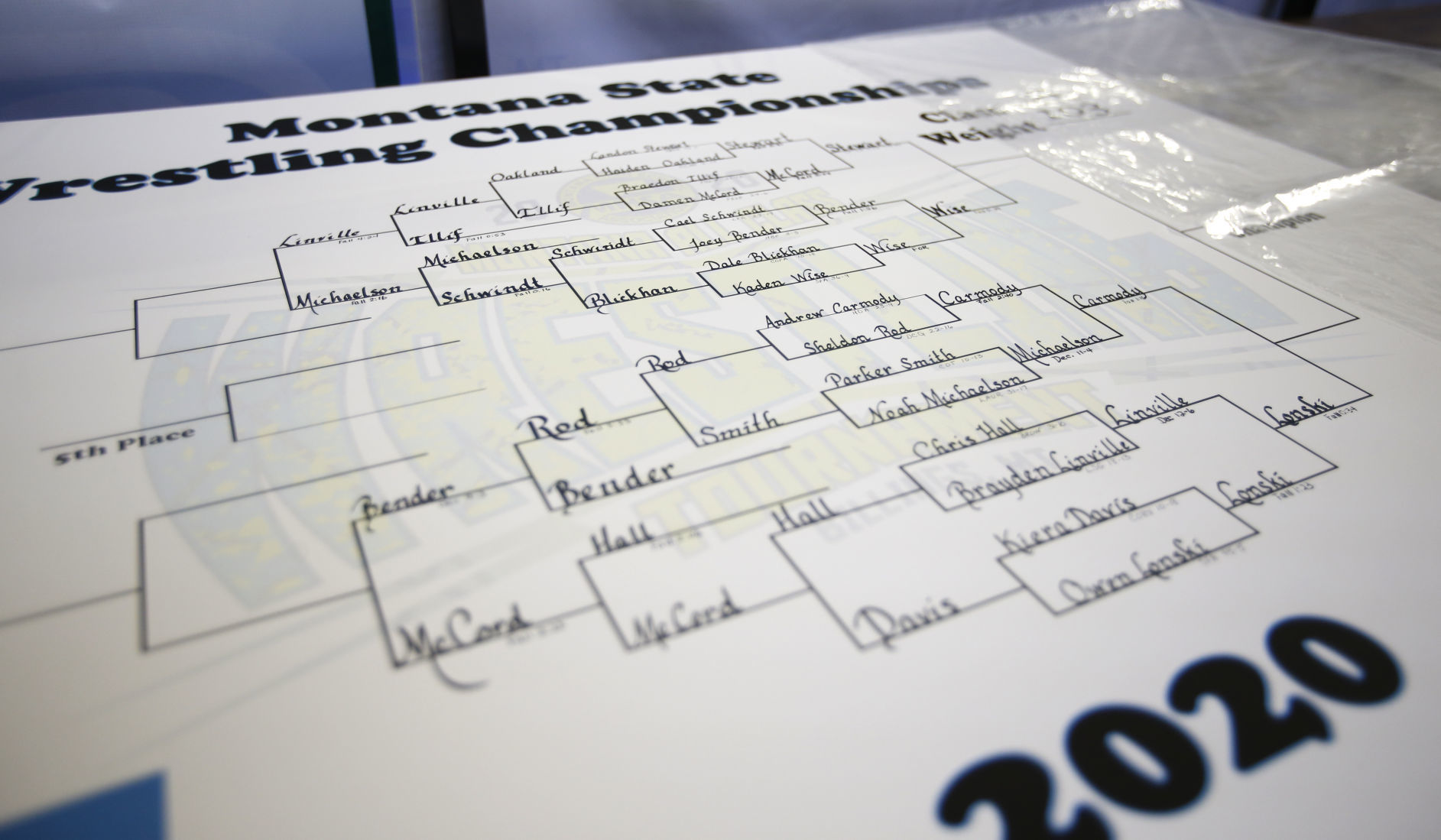Wrestling brackets